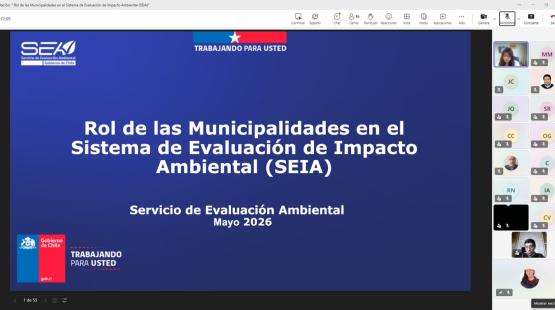 SEA Aysén capacita a municipios de la región 