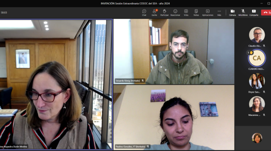 Directora Valentina Durán adelantó al Cosoc informe de la Cuenta Pública del SEA