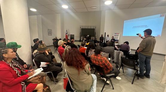 En la actividad participaron representantes de Pueblos Originarios de Panul y de las localidades cercanas. 