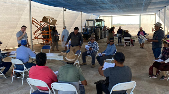 Nueva etapa de participación ciudadana por modificaciones sustantivas del proyecto “Línea de Transmisión y Central Bess Halcón 20”