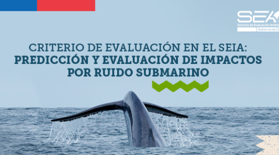 nota_web_ruido_submarino