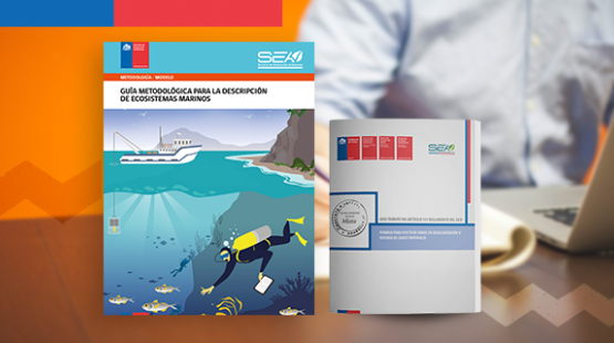 Servicio de Evaluación Ambiental actualiza guías metodológicas e implementa nuevas funcionalidades en la web 