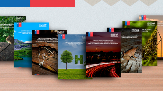 Nuevos diseños de documentos