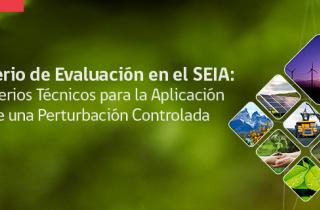 criterio_de_evaluacion_en_el_seia