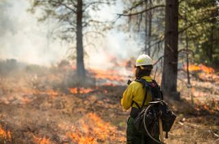 SEA suspende evaluación de 5 proyectos por emergencia en región del Biobío
