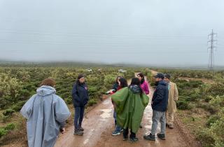 SEA Coquimbo realiza visita técnica sobre DIA para proyecto de modificación de parque híbrido en Ovalle