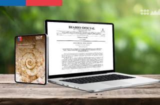 Criterio de evaluación de patrimonio cultural paleontológico del SEA, publicado en el Diario Oficial para su entrada en vigencia.