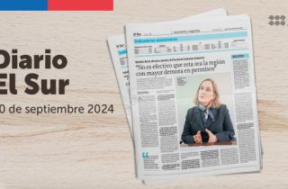 Entrevista directora ejecutiva con Diario El Sur