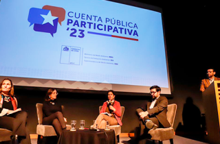 Cuenta Pública institucionalidad ambiental