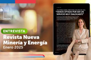 Valentina Durán, directora ejecutiva del SEA: “Hemos optado por ser un Servicio muy dialogante”