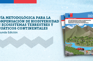 Guía metodológica para la compensación de biodiversidad en ecosistemas terrestres y acuáticos continentales