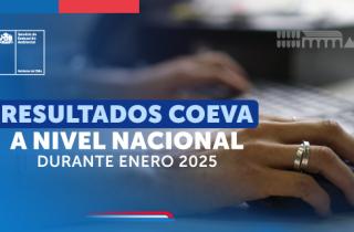 Comisiones de Evaluación Ambiental (Coeva) calificaron 20 proyectos durante enero a nivel nacional