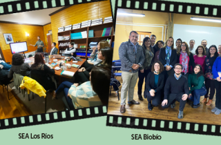 Viaje directora ejecutiva del SEA a Valdivia y Concepción