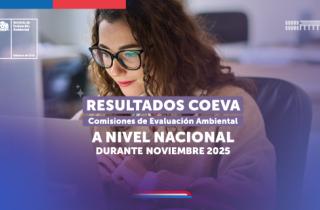 Listado proyectos calificados noviembre 2025