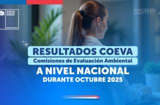 Listado proyectos calificados octubre 2025