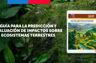 SEA publicó nuevo documento de evaluación ambiental sobre ecosistemas terrestres