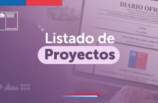Listado de proyectos sujetos a Declaración de Impacto Ambiental presentados durante febrero 2025