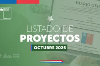 Proyectos ingresados en octubre 2025