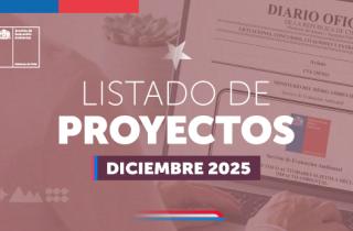 El Servicio de Evaluación Ambiental (SEA) informa que ya se encuentra disponible el listado de proyectos y actividades, presentados mediante Declaración de Impacto Ambiental (DIA) durante el mes de diciembre de 2025.