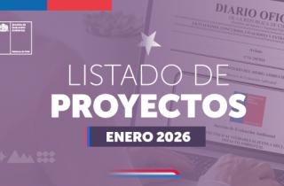 listado de Declaraciones de Impacto Ambiental presentadas en enero de 2026