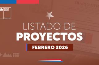 SEA publica listado de Declaraciones de Impacto Ambiental presentadas en febrero de 2026