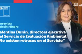 Valentina Durán, directora ejecutiva del Servicio de Evaluación Ambiental: “No existen retrasos en el Servicio”