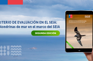 SEA publicó segunda edición del criterio de evaluación golondrinas de mar en el marco del SEIA