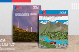 Actualización de Guía y Criterio del SEA