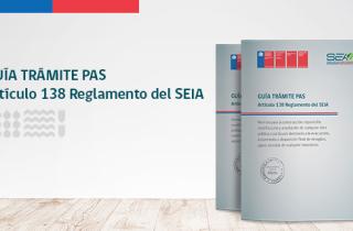 Guía Trámite PAS Artículo 138 Reglamento del SEIA