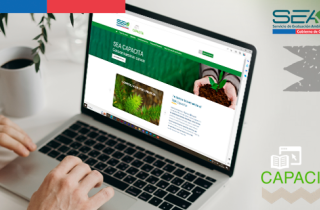SEA capacita