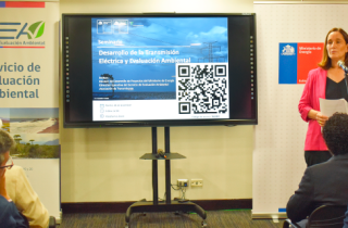 Directora Ejecutiva del SEA