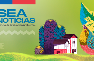 Cápsula diciembre 2022