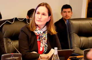 Directora Valentina Durán en la OCDE