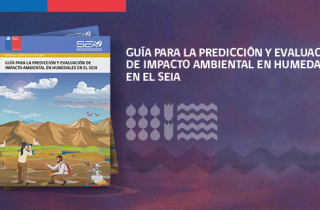 Guía predicción y evaluación de impacto ambiental en humedales en el SEIA
