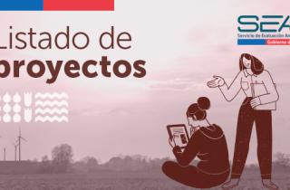 Listado de proyectos sujetos a Declaración de Impacto Ambiental presentados durante junio 2024