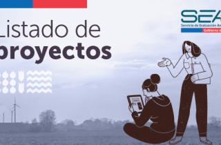 Listado de proyectos sujetos a Declaración de Impacto Ambiental presentados durante noviembre 2024