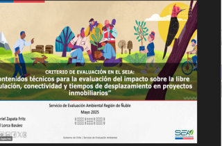 SEA Ñuble realiza capacitación sobre evaluación del impacto en la libre circulación en proyectos inmobiliarios