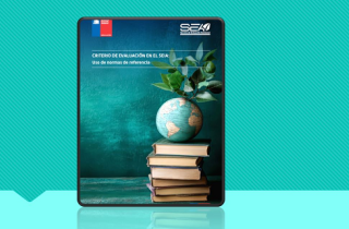 Servicio de Evaluación Ambiental publicó documento técnico referido al uso de normas de referencia