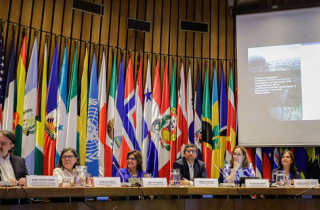 OCDE entrega la tercera Evaluación de Desempeño Ambiental de Chile