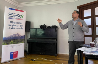 SEA La Araucanía capacita a funcionarios en normativa ambiental