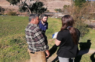 PAC Atacama faena Algarrobo