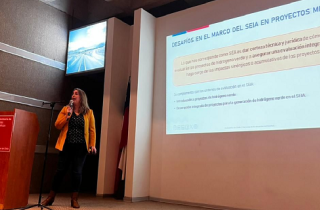  Macarena Gross, jefa del Departamento de Especialistas y Cambio Climático.