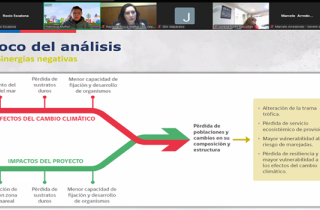 SEA Valparaíso desarrolló capacitaciones asociadas a ecosistemas marinos y cambio climático