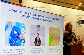 Directora en congreso de H2V