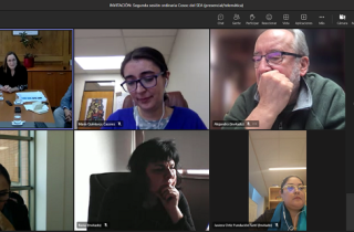 Presentación al Cosoc