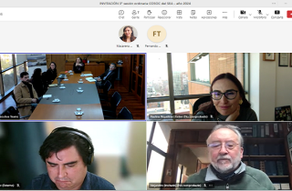 Modificaciones al Reglamento del SEIA son tratadas en la tercera sesión del Cosoc