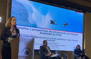 Directora Valentina Durán en encuentro del Tercer Tribunal Ambiental