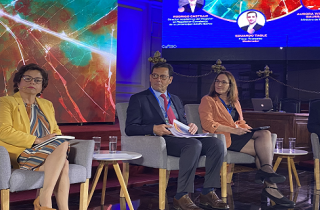 Directora Ejecutiva del SEA expuso en el Congreso de Minería y Energía del Futuro 