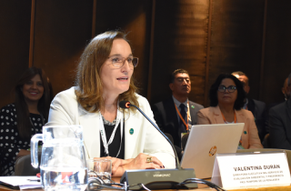 REDLASEIA fomenta el diálogo sobre participación ciudadana en la COP3 del Acuerdo de Escazú