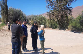 SEA Atacama organizó visita técnica al área de emplazamiento de proyecto de prospección minera 